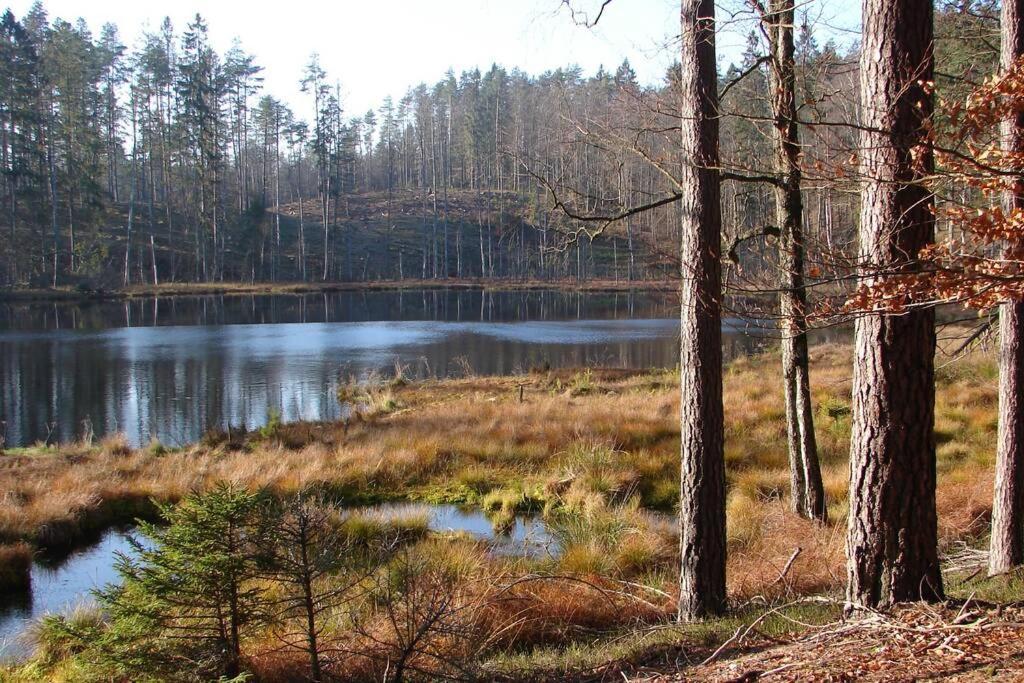 Na Wysokiej Gorce- Agroturystyka Grabowiec  Экстерьер фото